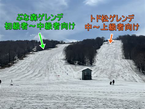 秋田八幡平スキー場、雪と温泉の融合がもたらす新たな旅の形