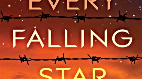  Every Falling Star: A Journey Through Loss and Hope?